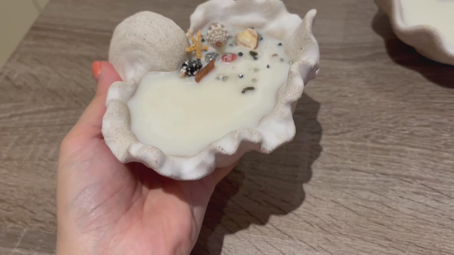 Tridacna Clam Shell Scented Candle